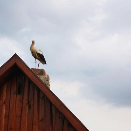 Pod Modrzewiem Pogorzelce Bagian luar foto
