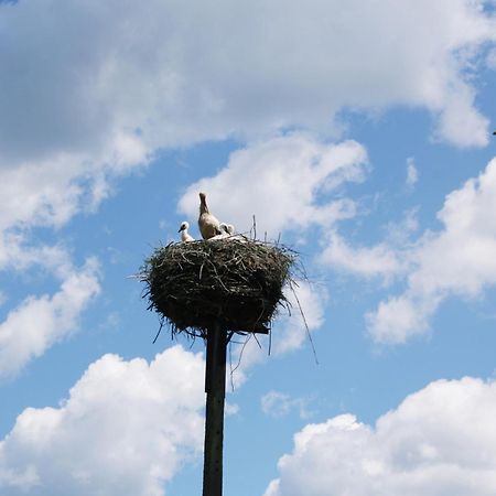 Pod Modrzewiem Pogorzelce Bagian luar foto