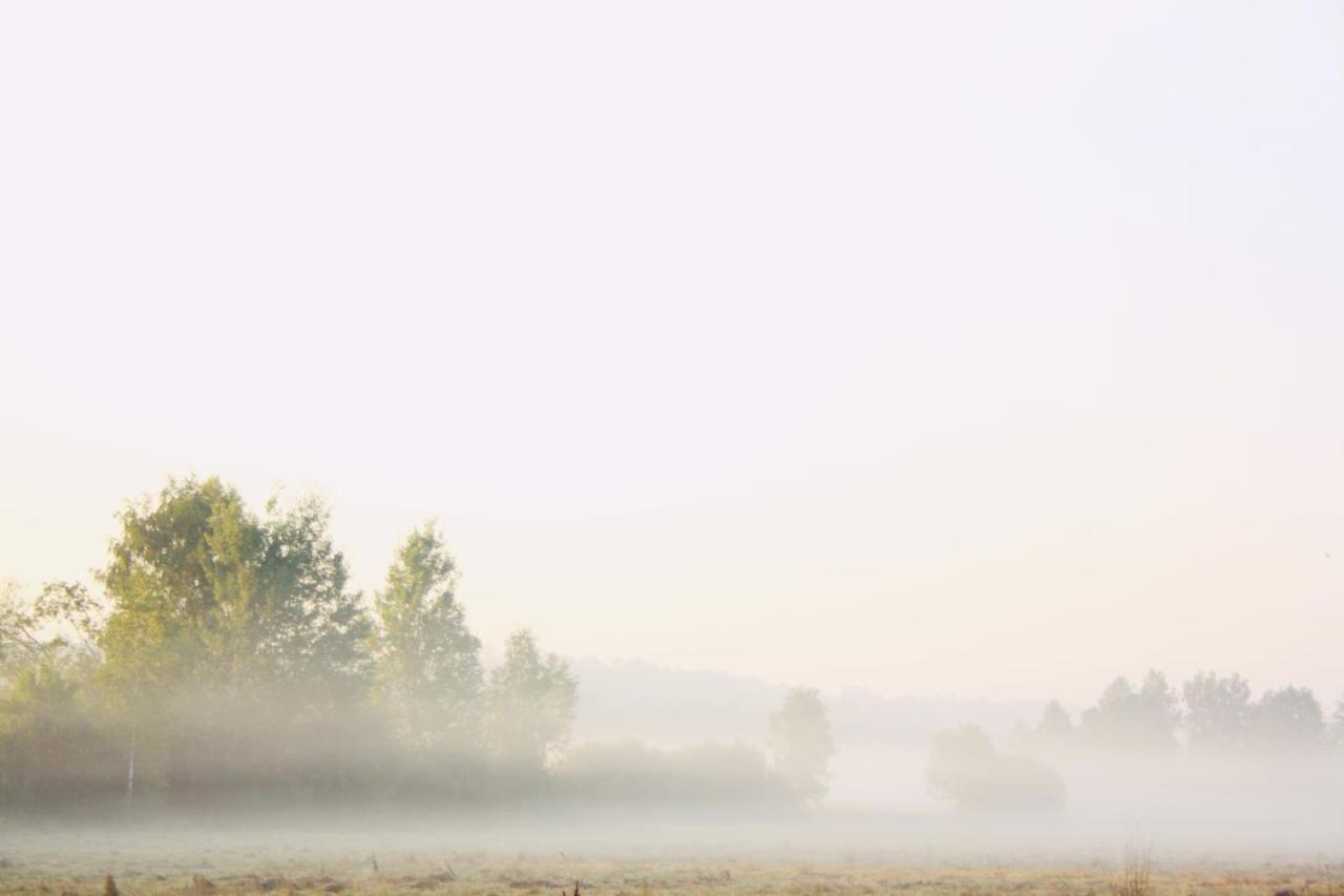Pod Modrzewiem Pogorzelce Bagian luar foto